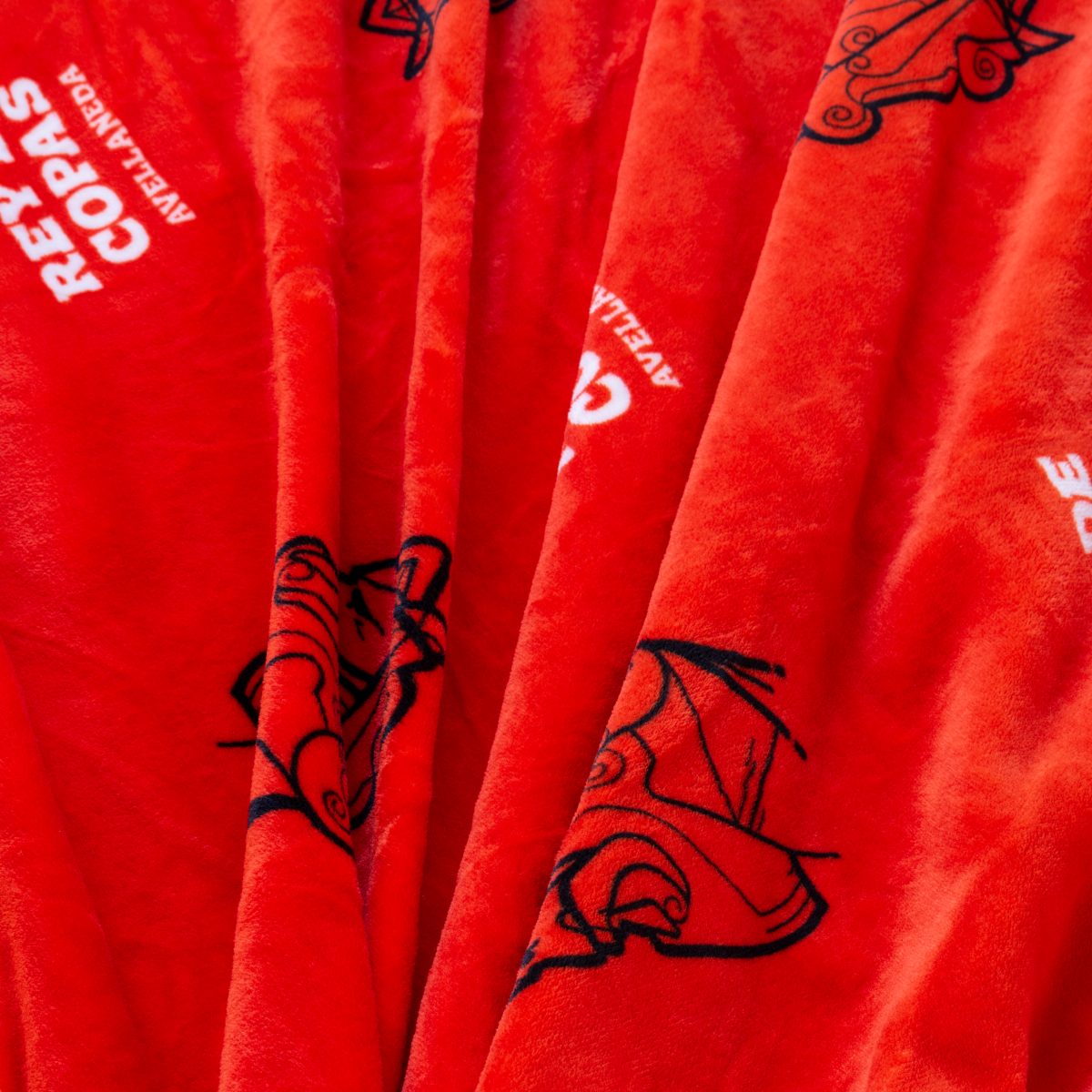 Frazada Flannel Independiente 2 Plazas Y Media 220X240Cm - Imagen 4