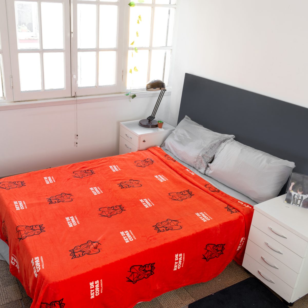 Frazada Flannel Independiente 2 Plazas Y Media 220X240Cm - Imagen 1