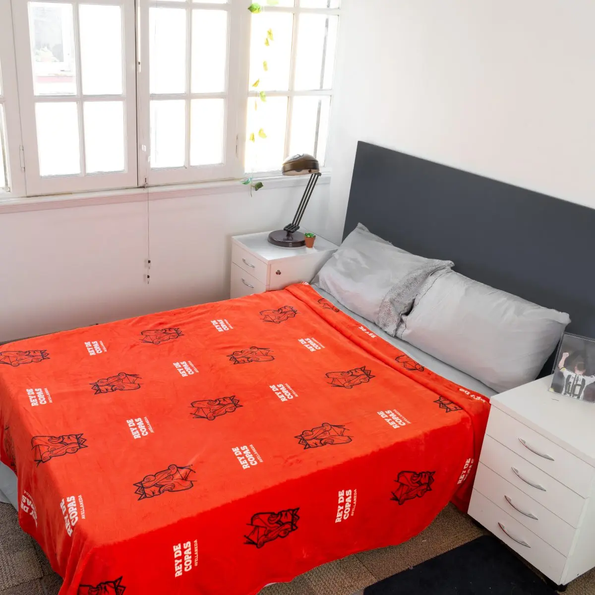 Frazada Flannel Independiente 2 Plazas Y Media 220X240Cm - Imagen 1