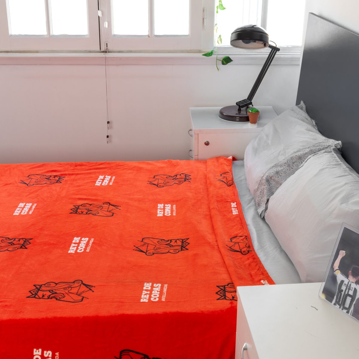 Frazada Flannel Independiente 2 Plazas Y Media 220X240Cm - Imagen 5