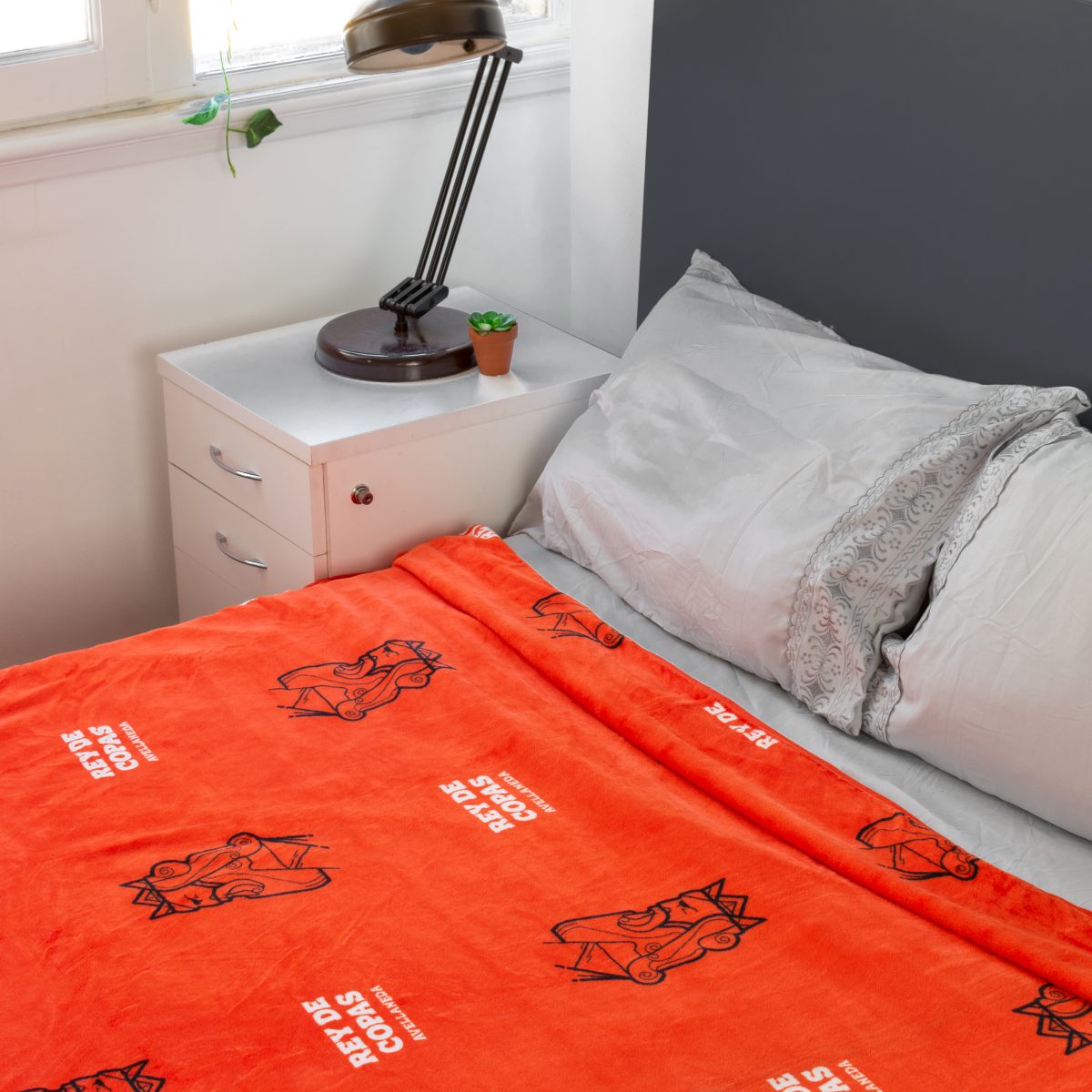 Frazada Flannel Independiente 2 Plazas Y Media 220X240Cm - Imagen 3