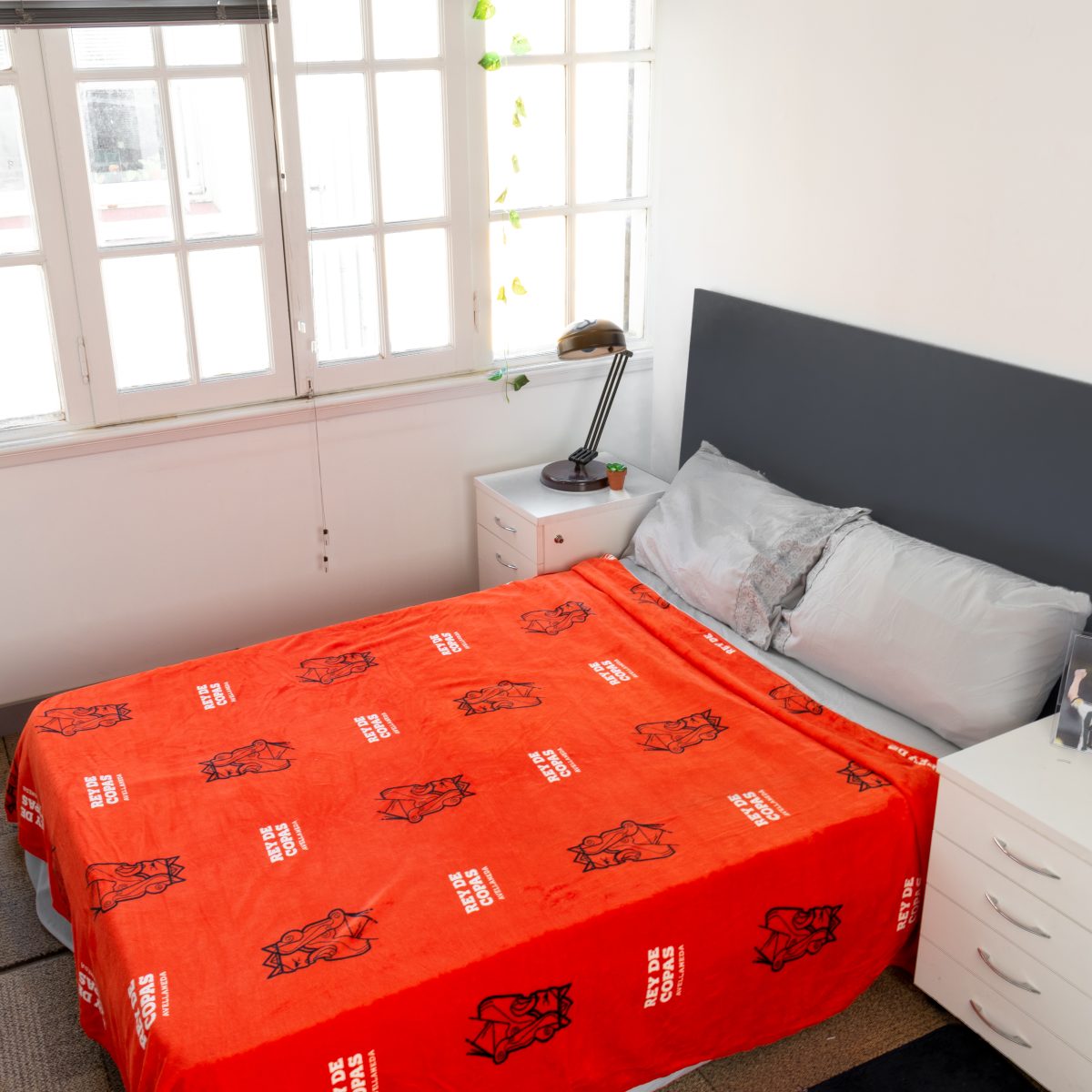 Frazada Flannel Independiente 2 Plazas Y Media 220X240Cm - Imagen 7