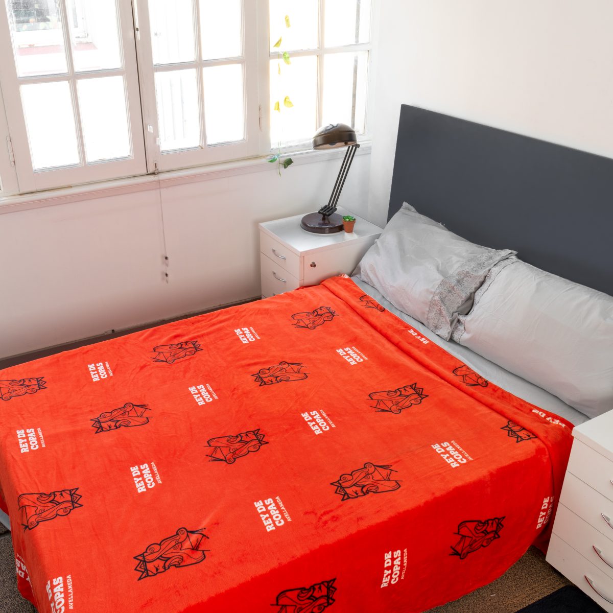 Frazada Flannel Independiente 2 Plazas Y Media 220X240Cm - Imagen 8