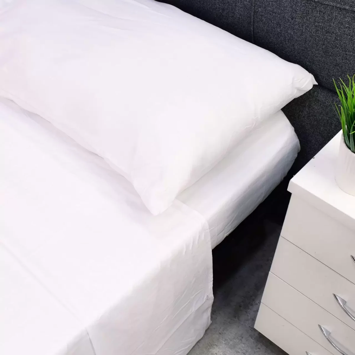 95f8d9f6-5ce9-496a-a78d-662f99efd58e_jpg