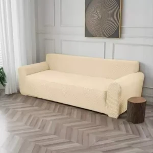 WhatsApp_Image_2025-01-31_at_12.13.17__445__jpeg