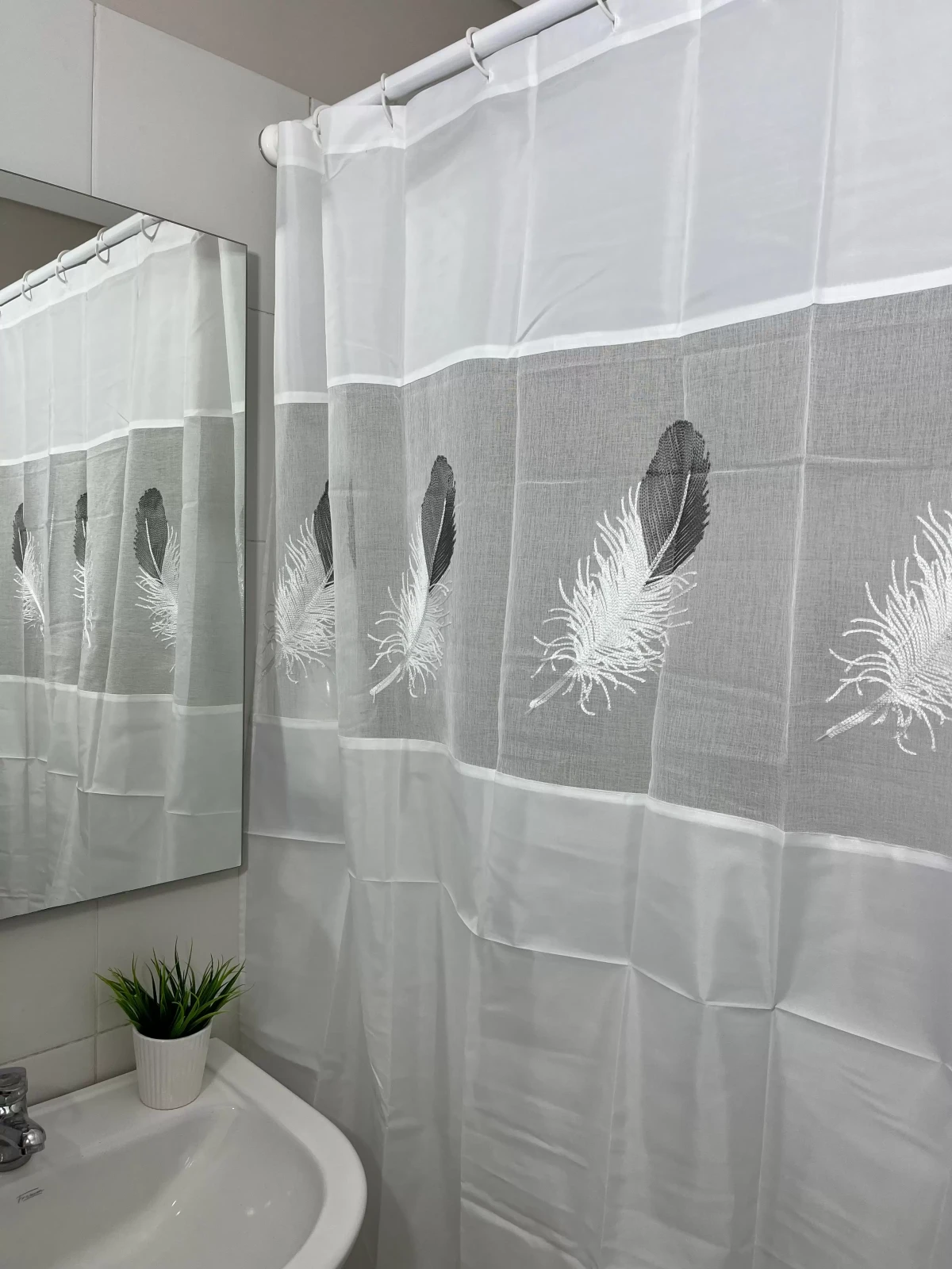 WhatsApp_Image_2024-11-19_at_12.24.53_jpeg