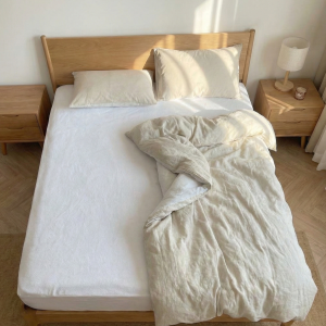 Gemini_Generated_Image_fz5rjsfz5rjsfz5r_0gse-an (1)