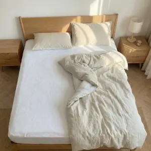 Gemini_Generated_Image_fz5rjsfz5rjsfz5r_0gse-an (1)